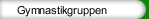 Gymnastikgruppen