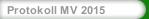 Protokoll MV 2015
